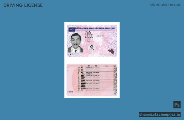 Beispiel für einen belgischen Führerschein